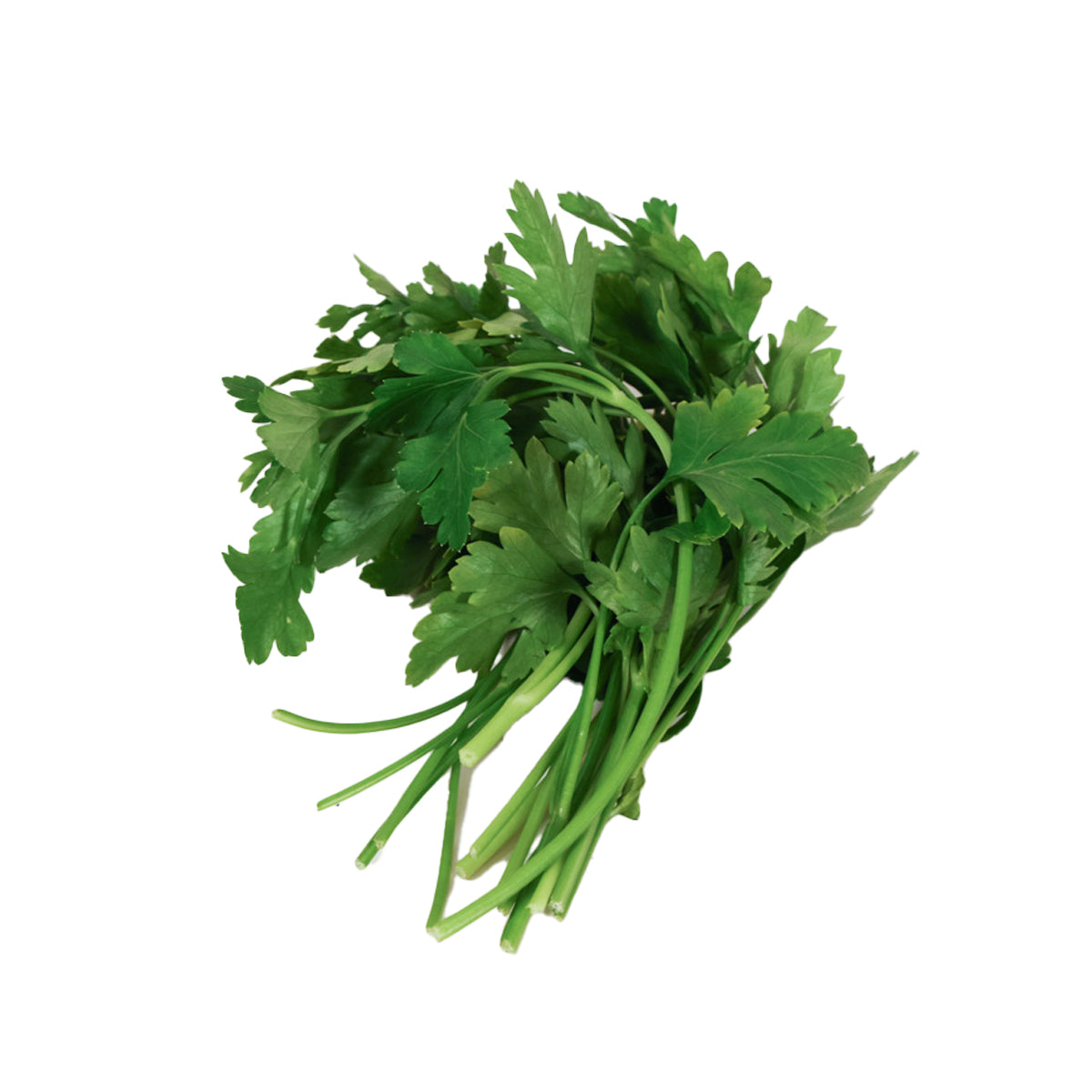 Kenyan Flat-leave Parsley (Pack) (1pack)