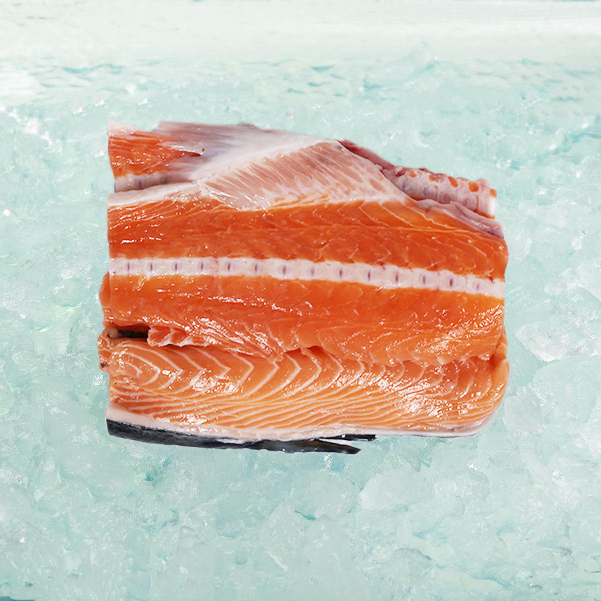 Irish Organic Salmon Fish Bone (300g)