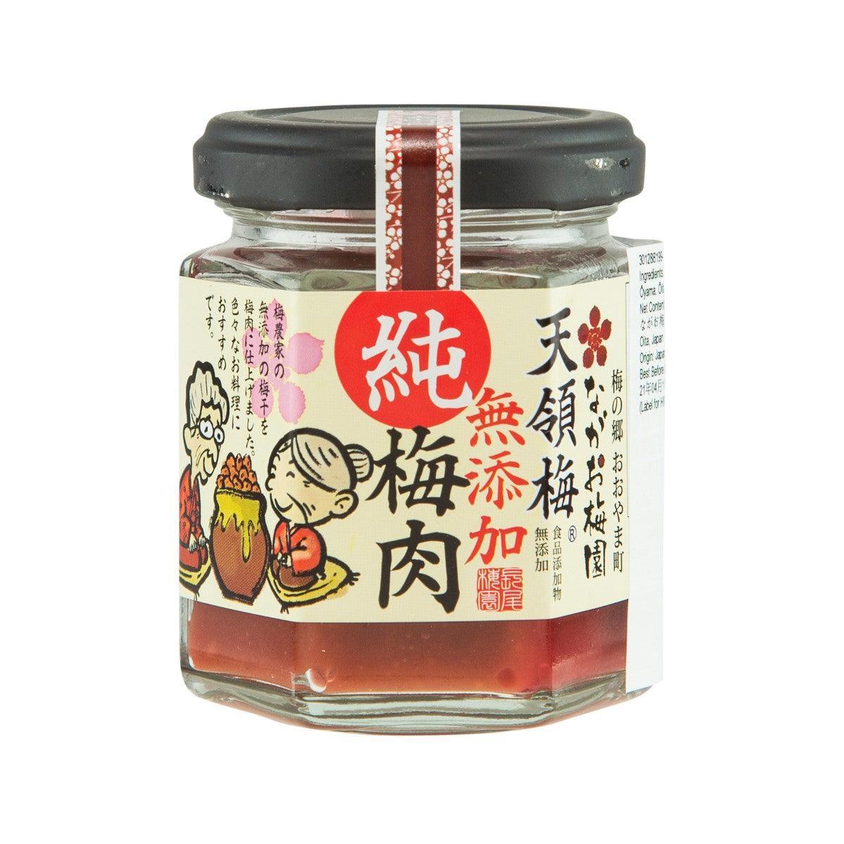 NAGAO Tenryo Plum Paste (100g)