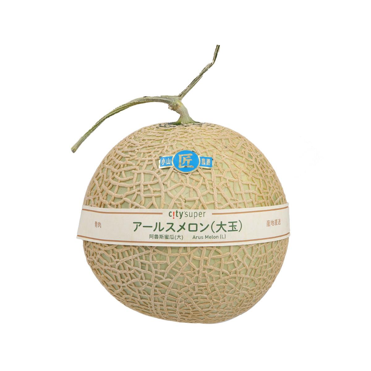 Japanese Arus Melon (Large) (1pc)
