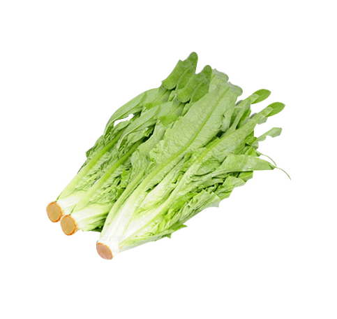 China Yunnan Baby Indian Lettuce (1pack)