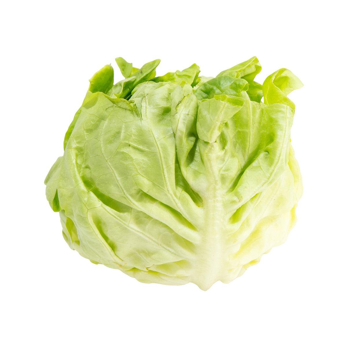法國牛油生菜 (600g)