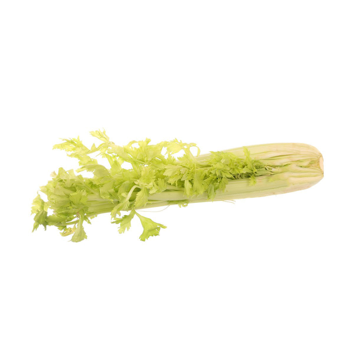 USA Organic Celery (500g)