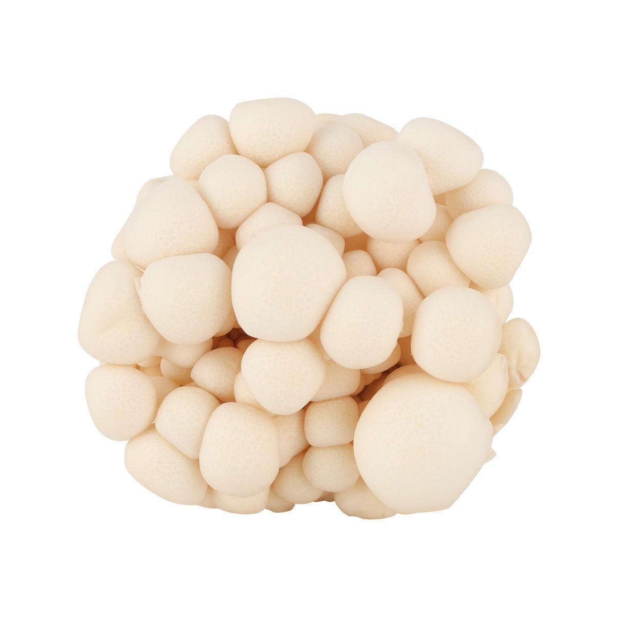Japanese White Bunapi Shimeji Mushroom (100g)