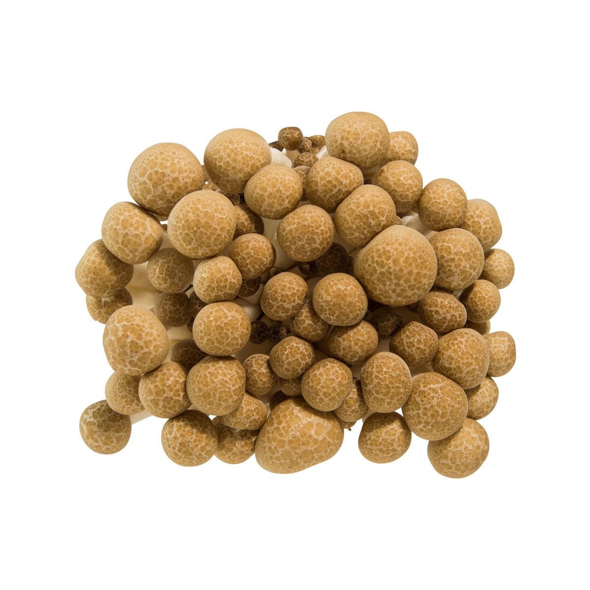 Japanese Buna Shimeji Mushroom (100g)