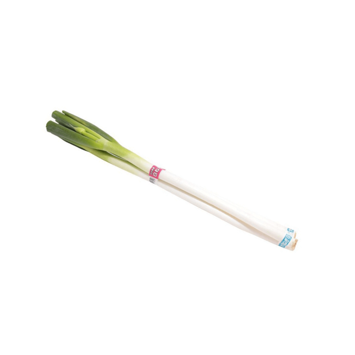 Japanese Fukanegi Leek (350g)
