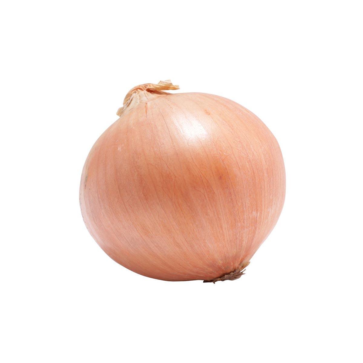 Japanese Onion (600g)