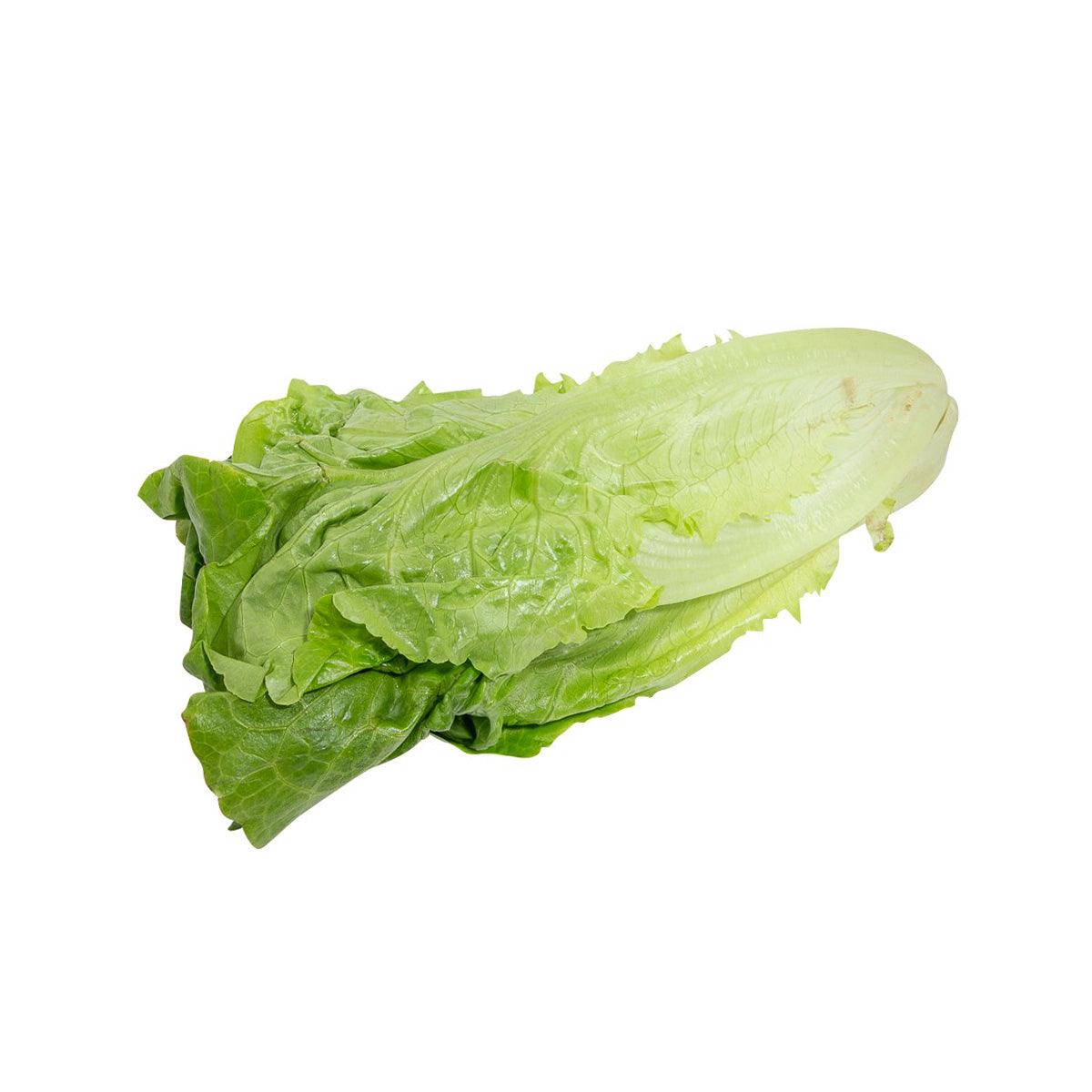 China Organic Chinese Lettuce (300g)