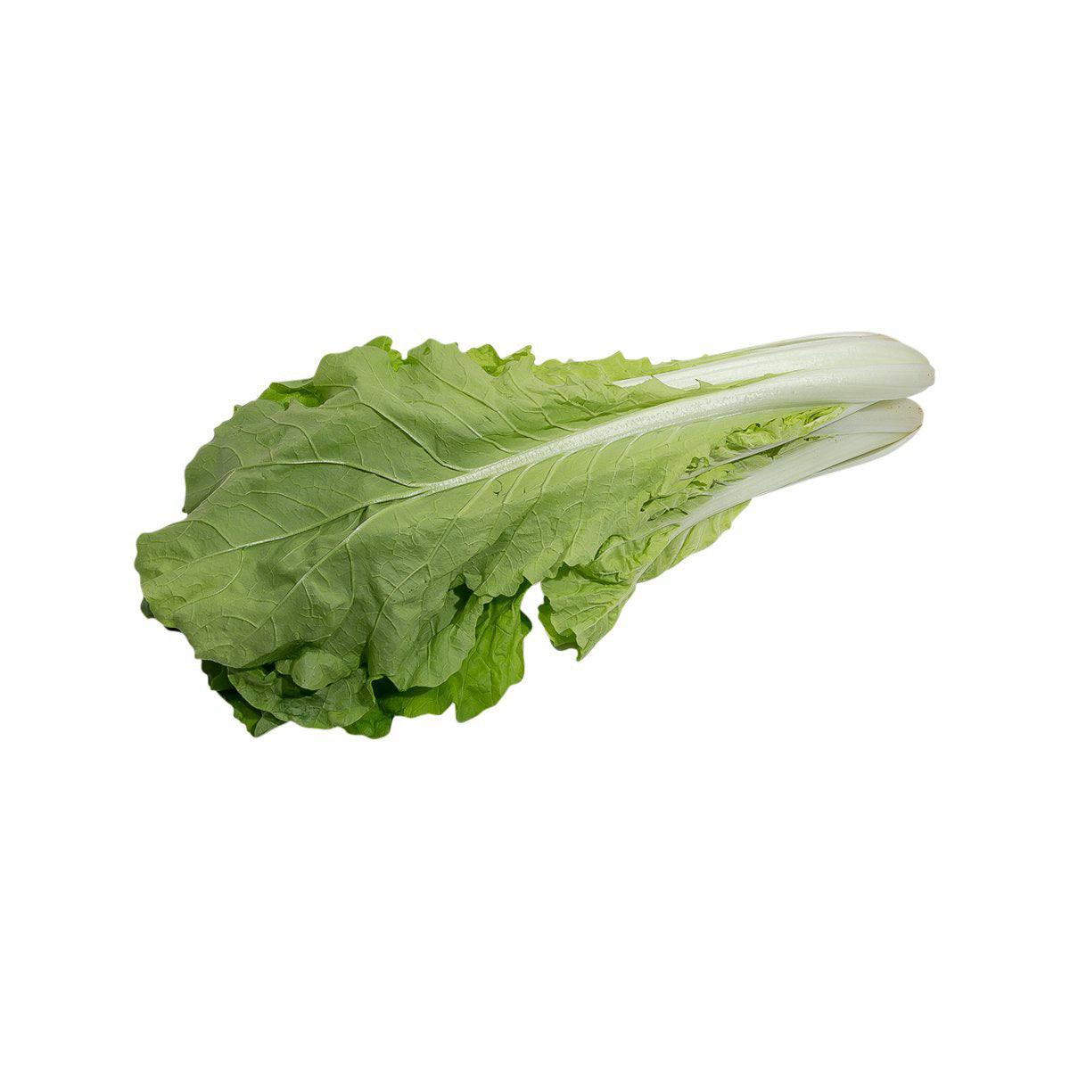 Local Organic Pak Choi - Taiwan Breed (600g)