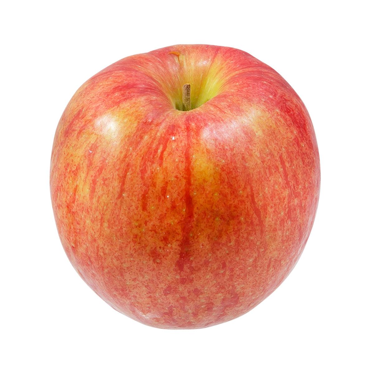 Japanese Jonagold Apple 28's (1pc)
