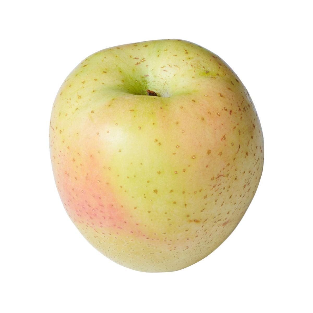 Japanese Ohrin Apple 28's (1pc)