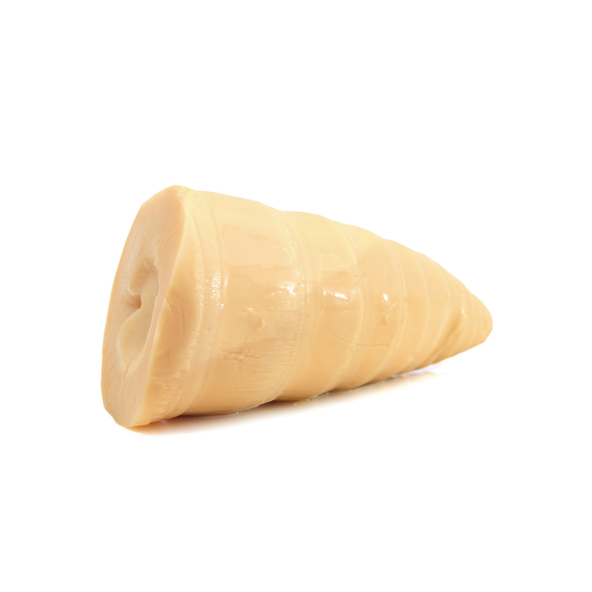 Japanese Bamboo Shoot in Vacuum Pack (1pc)