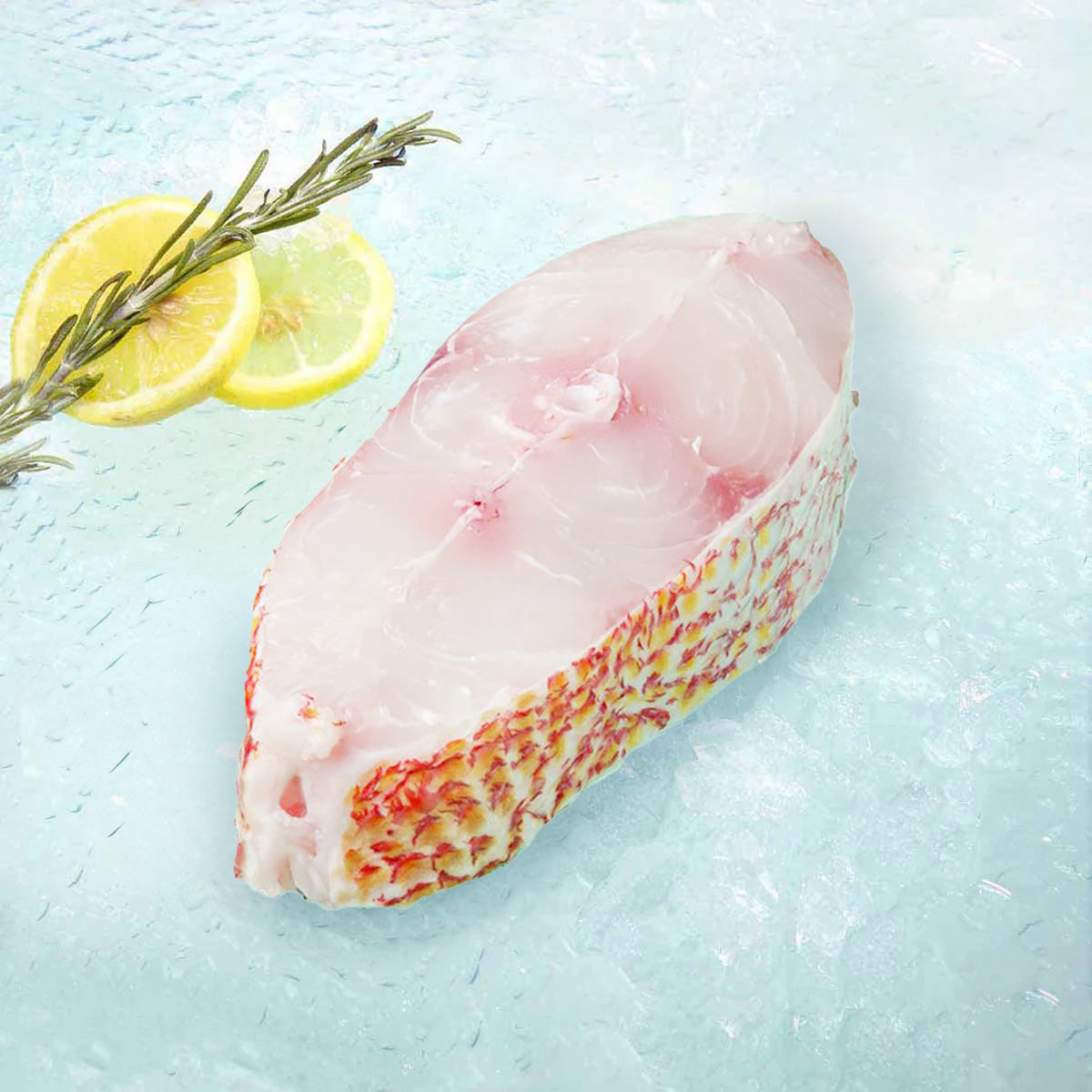 New Zealand Wild Red Snapper Fish Slice (300g)