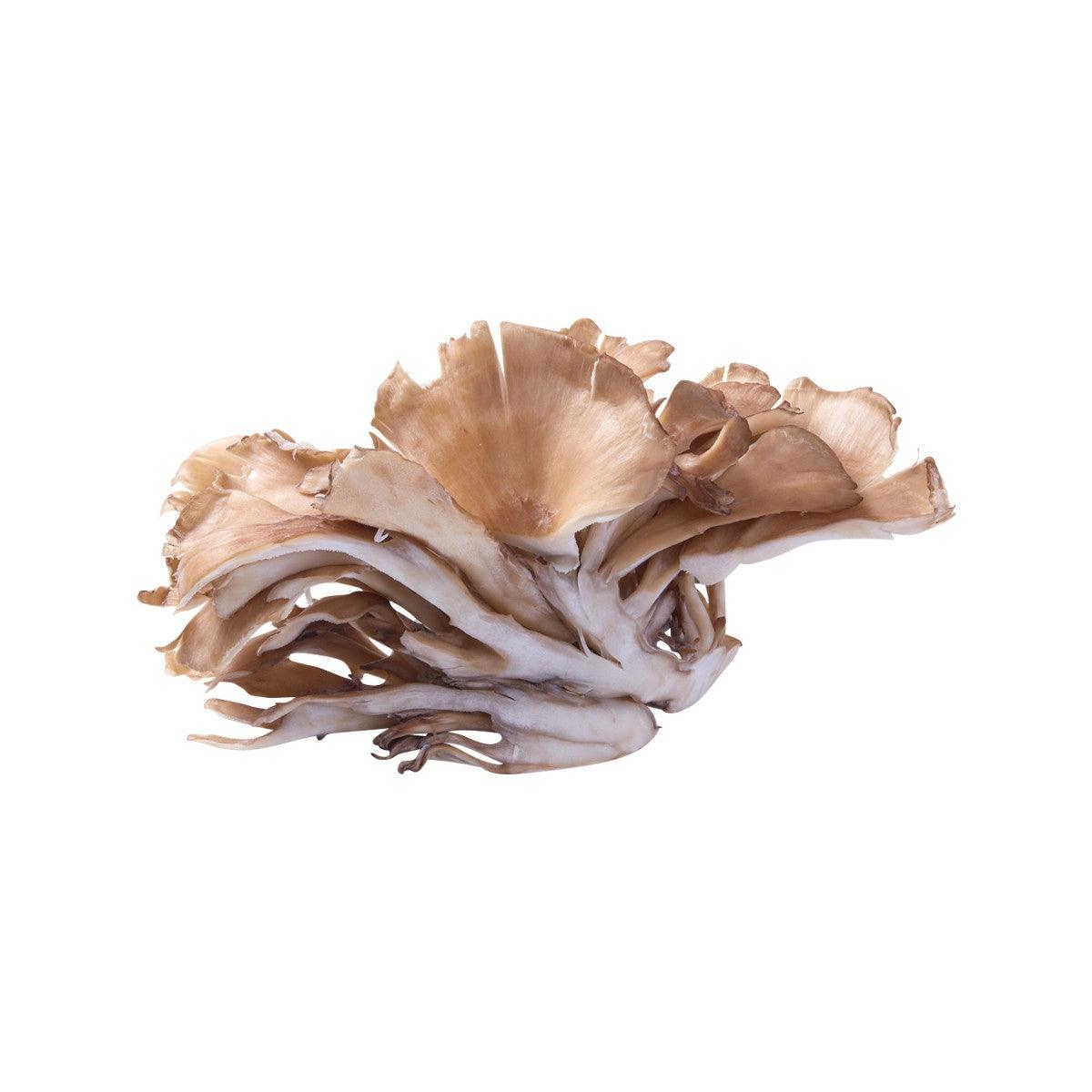 Japanese Maitake Mushroom (1pack)