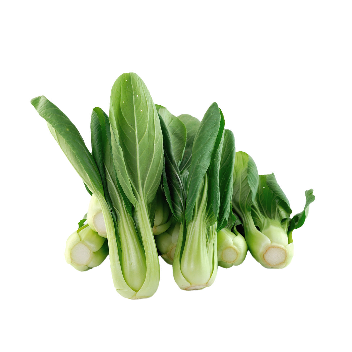 China Yunnan Highland Organic Baby Shanghai Pak Choi - No Chemical Pesticide Used (250g)