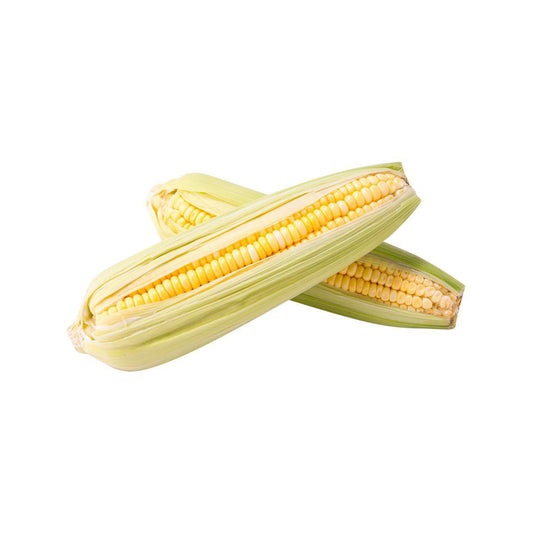 Local Organic Sweet Corn  (1pack)