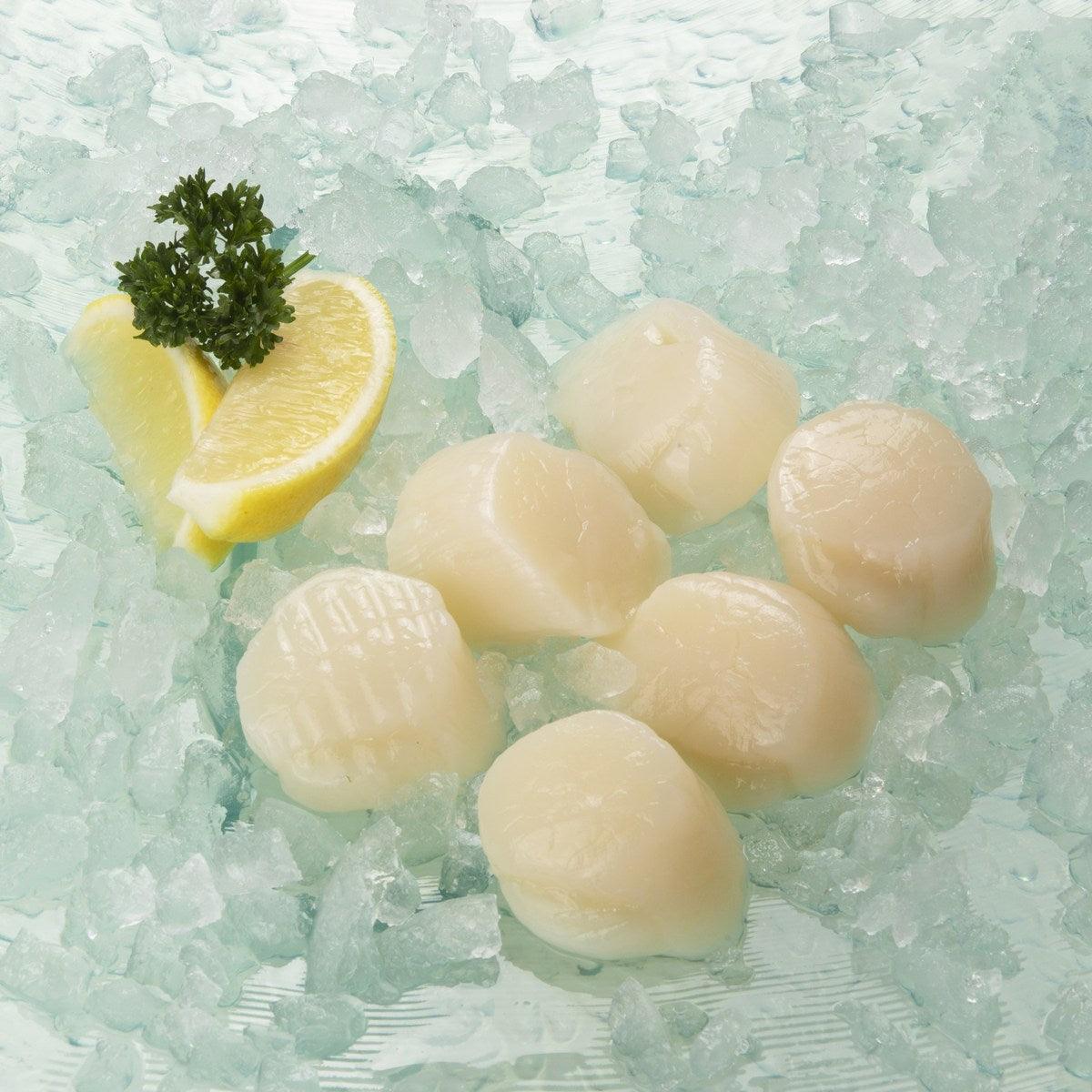 Japan Hokkaido Scallop U15 for Cooking [Previously Frozen]  (220g)