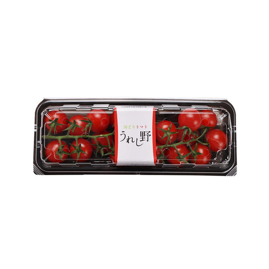 ASAI FARM Japan Mini Tomato On Vine