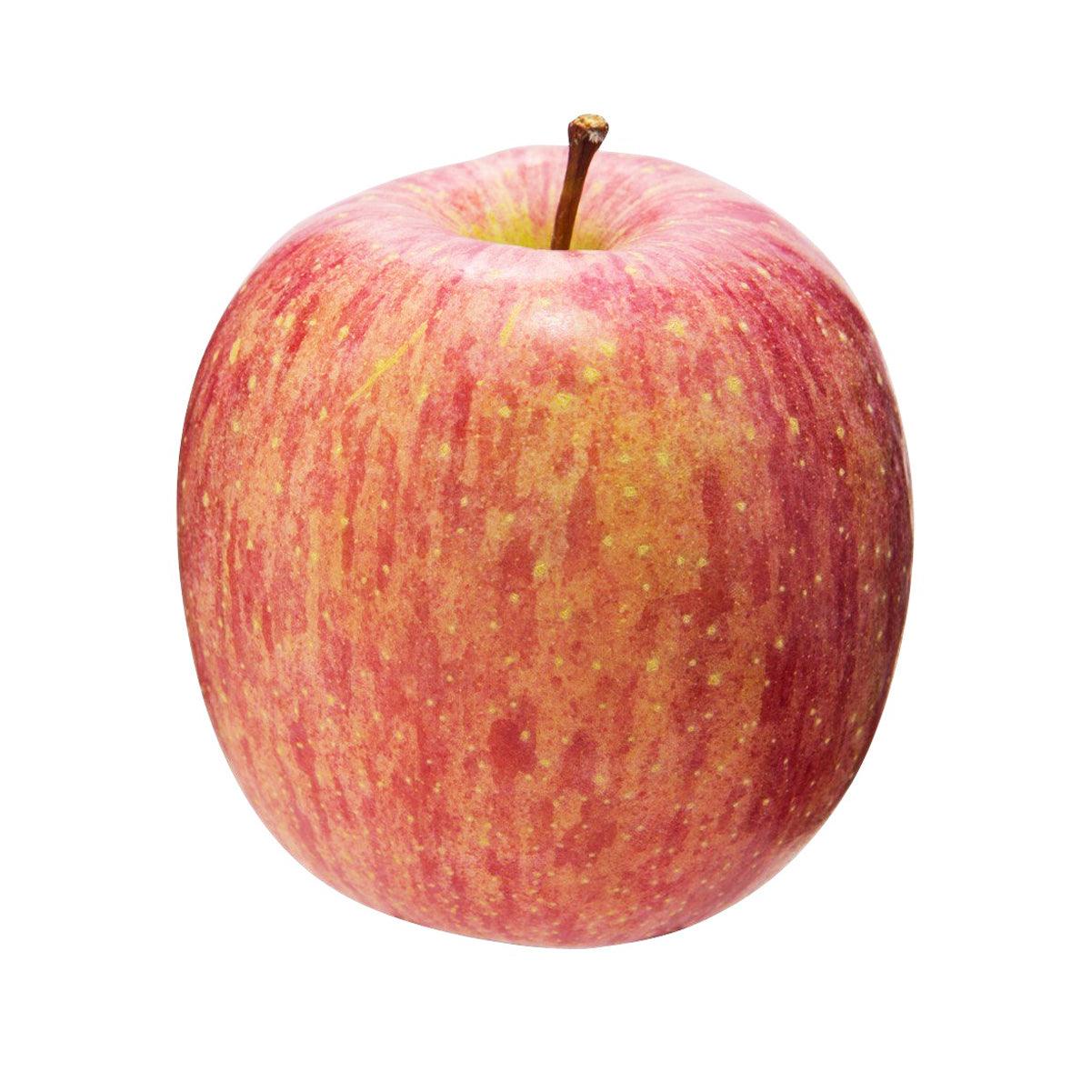 Japanese Sun Fuji Apple 28's  (1pc)